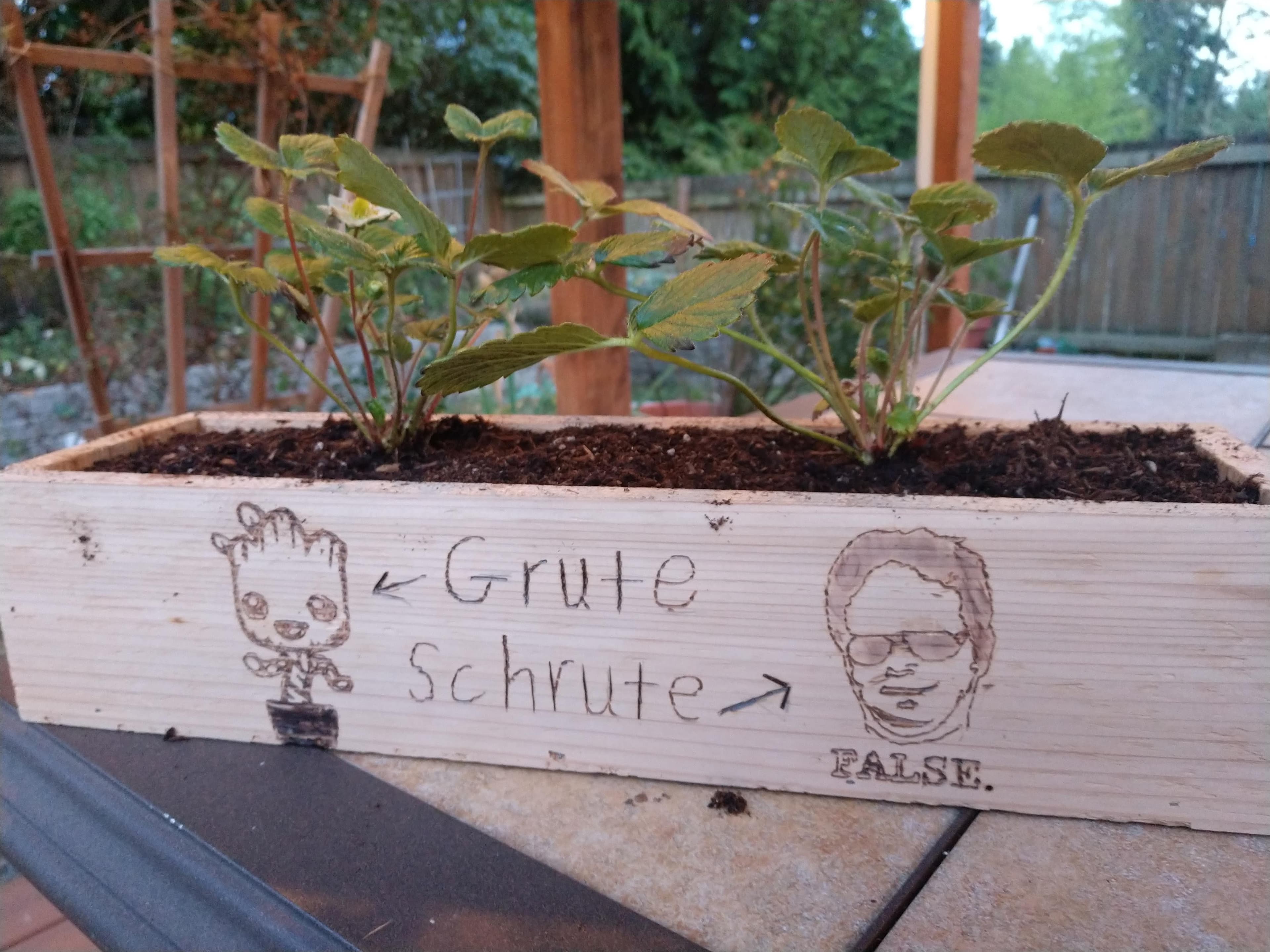 Strawberry Planter Upgrade